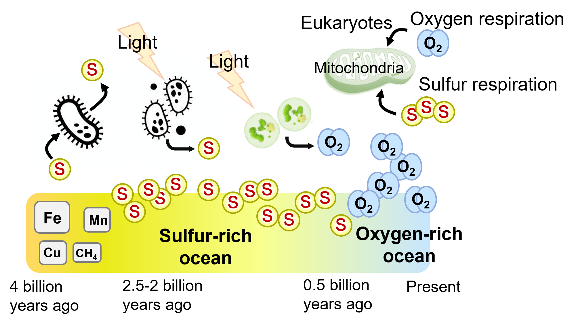 Introduction Of Research Area Innovative Sulfur Biology Emerging From 